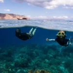 Best Time to Explore Komodo National Park