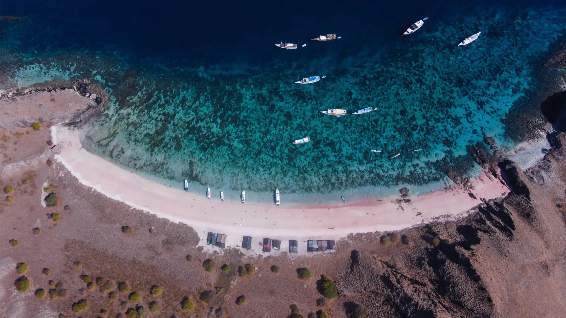 Pink Beach With Drone