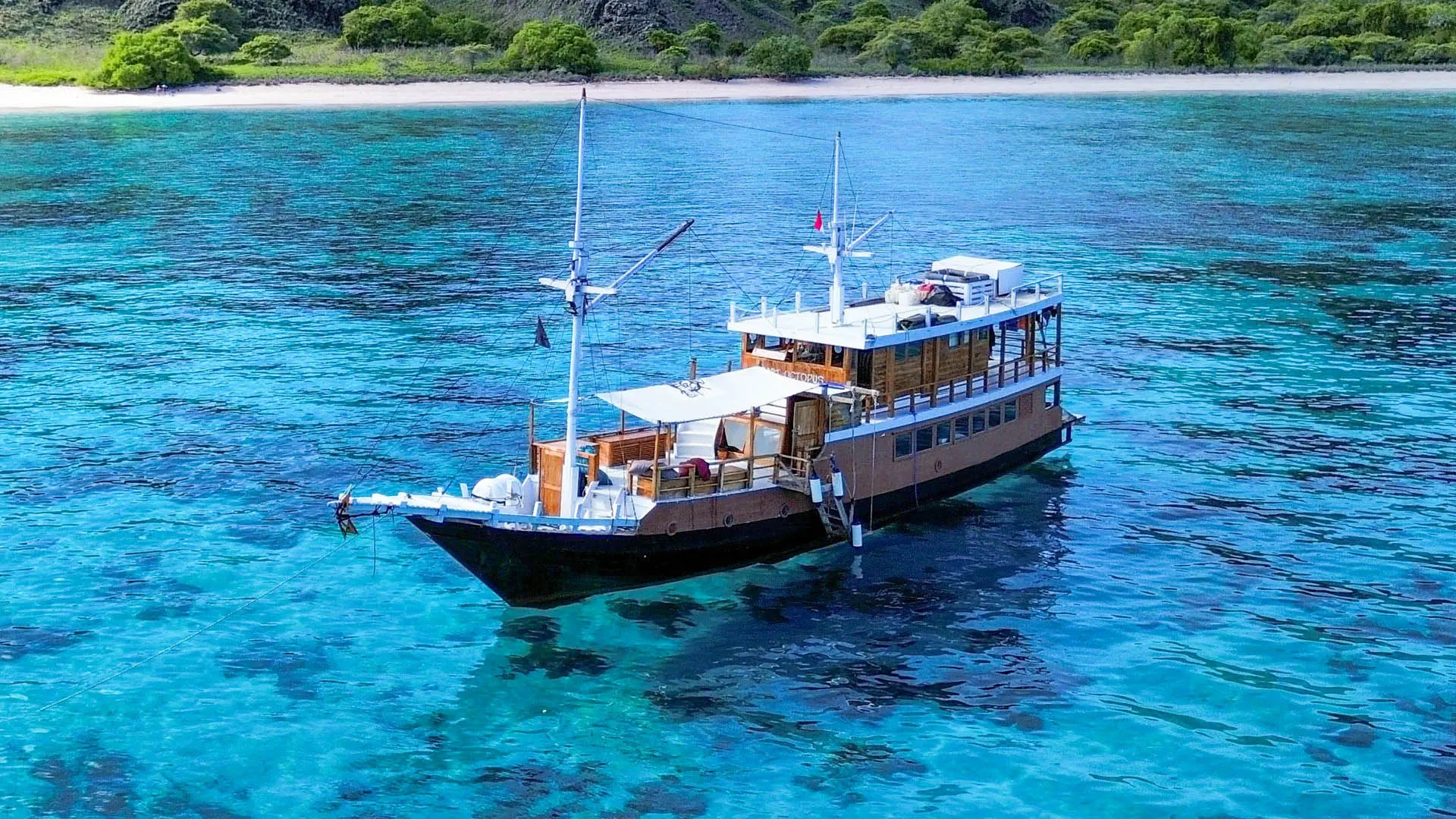 Capt Octopus